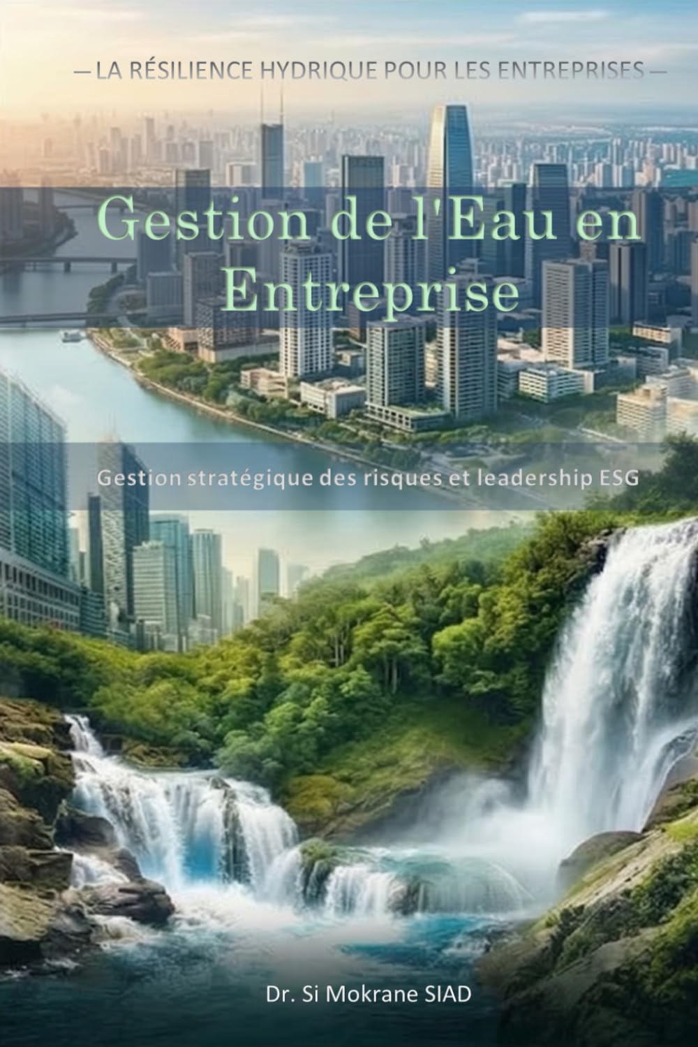 Gestion de l'Eau en Entreprise: Gestion stratégique des risques et leadership ESG (Résilience hydrique pour l'entreprise)