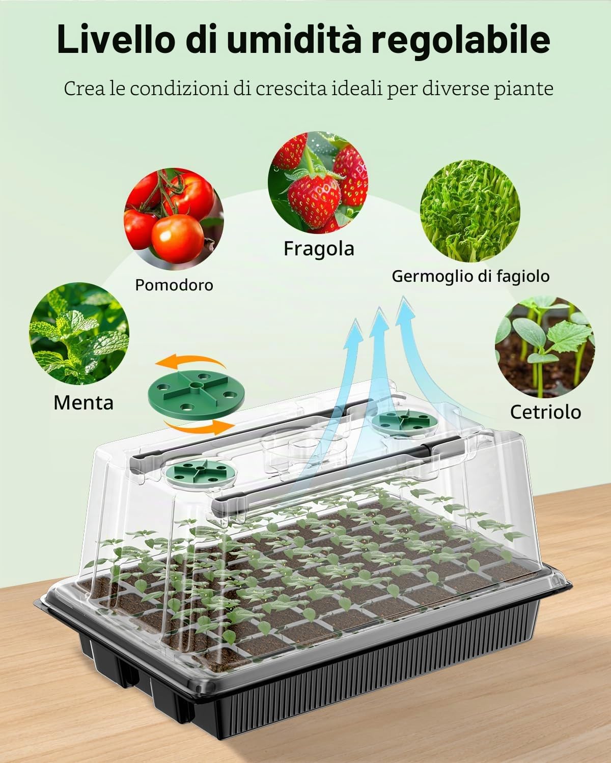 Pawfly Vaschette Germinazione Semi 2 Confezioni 80 Celle Kit con Luci Coltivazione Regolabili e Cupole Umidità 9 cm Vaschette con Coperchi Riusabili per Propagazione Piante