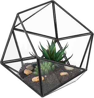 Relaxdays Pflanzenterrarium, Glas & Zinn, Deko Glashaus für Kakteen & Moos, offener Glaskasten für Fensterbank, schwarz