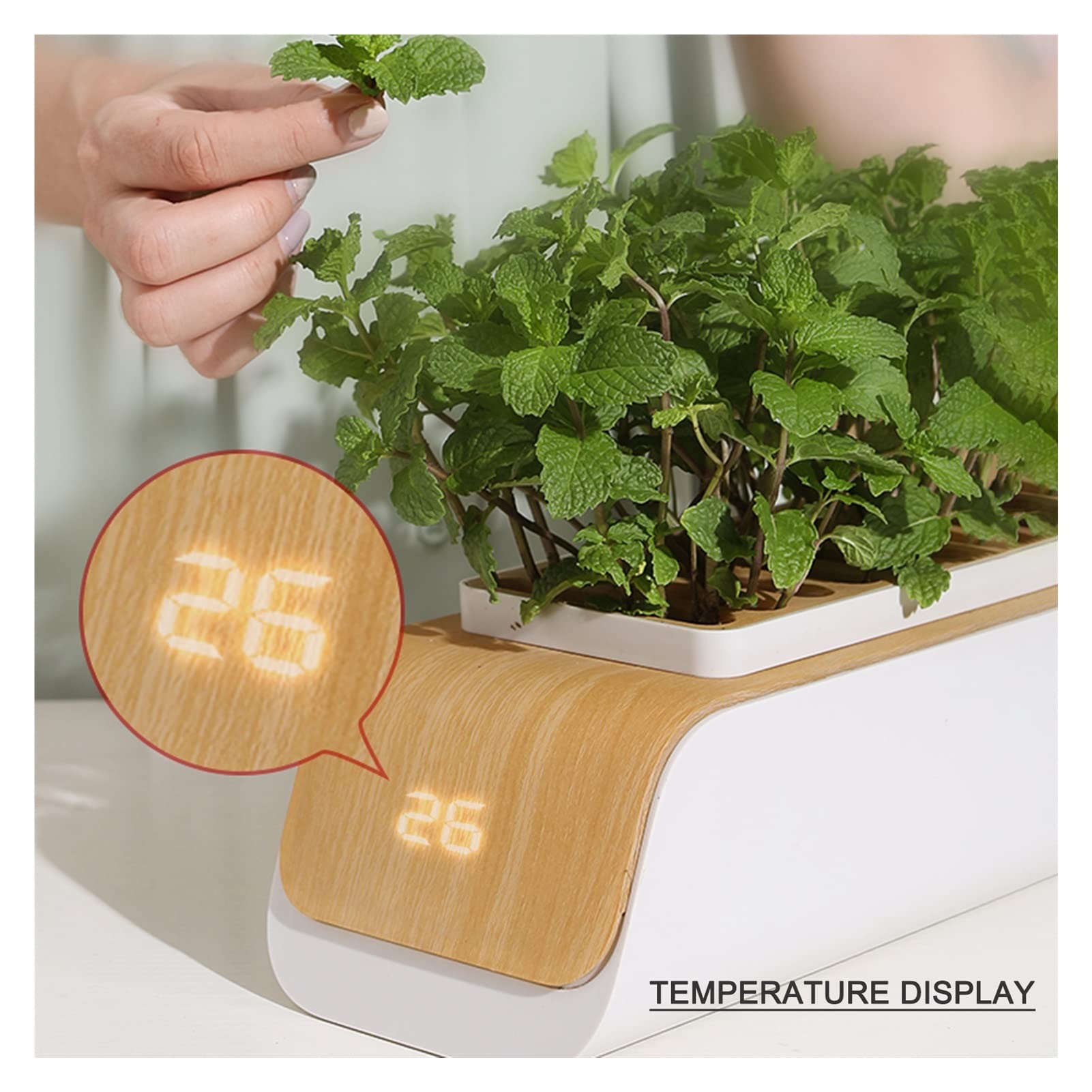Kit de sistema de cultivo hidropónico, Caja de hidropónico, luz de cultivo intelinte de espectro completo, cultivo sin suelo, macetero de jardín interior, lámpara de cultivo, macetas de vivero para el
