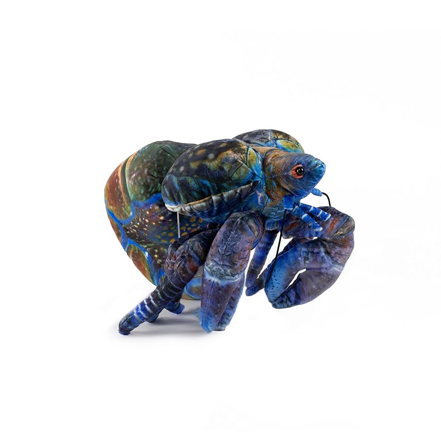 Amazon.co.jp: 太洋産業貿易 SA063 ぬいぐるみ ヤシガニ 35cm