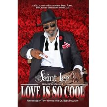 Love Is So Cool Book of Ice Vol I Saint Ice
