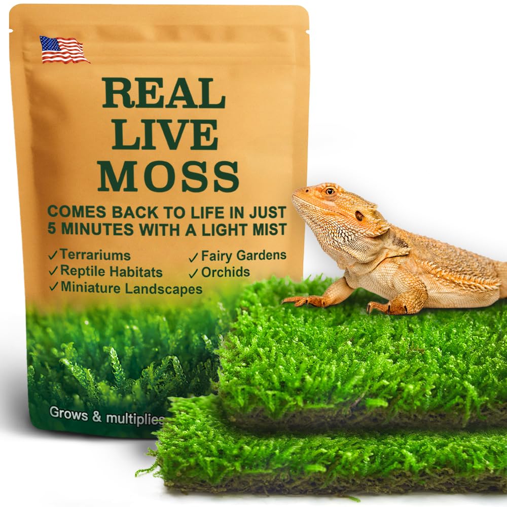 Live Moss for Reptiles - Terrarium Moss for Reptiles Peat Moss for Reptiles Habitat Bedding Moss for Snakes Turtle Frog Gecko and Other Reptiles Substrate 50 Square inches Live Moss