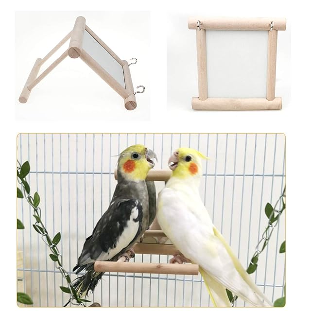 Foto 4 de 6 de Espejo para Pájaros y Mascotas, Aterrizaje Perchas, Madera de Loro