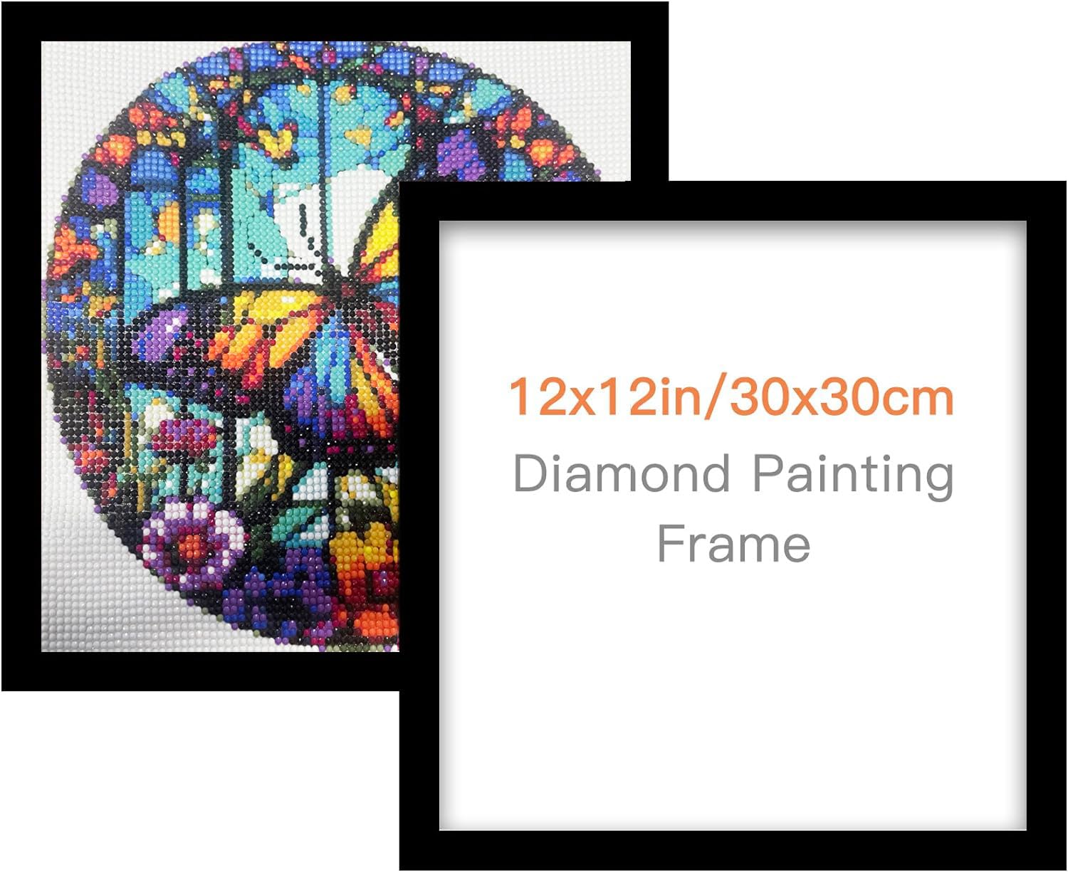 RYMILIE Diamond Painting Frames, Diamond Art Frames for 12x12in/30x30cm Diamond Painting Canvas, Diamond Painting Accessories Magnetic Frame for Wall Window Door Decoration (Inner Size 25x25cm)