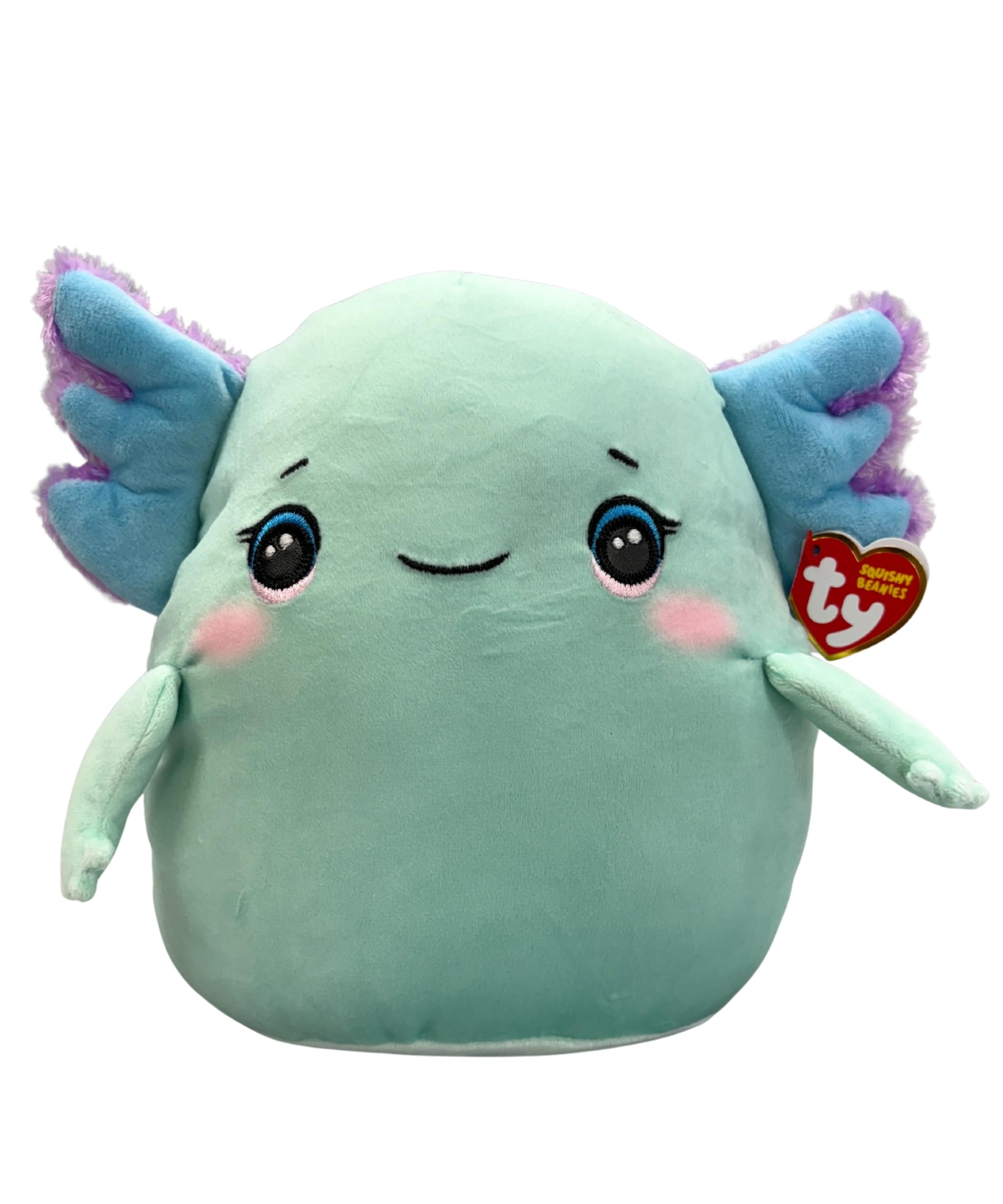 Ty Squishy Beanies - Charlie l'Axolotl, Morbido Cuscino di Peluche con Occhioni Azzurri, Idea Regalo per Grandi e Piccini, Tutti da Collezionare - 22 cm - T39394