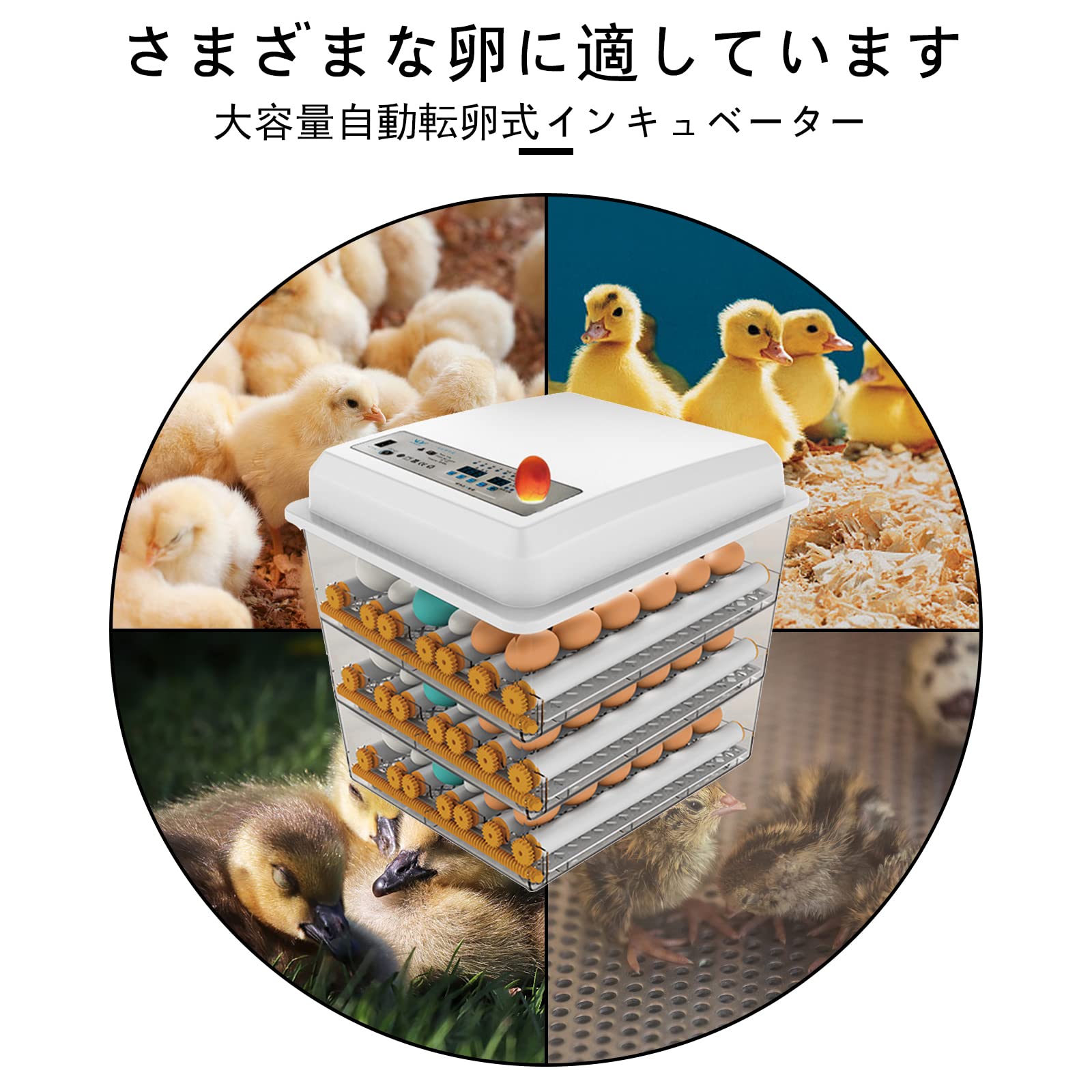 HKDQ 自動孵化器 360°転卵機能