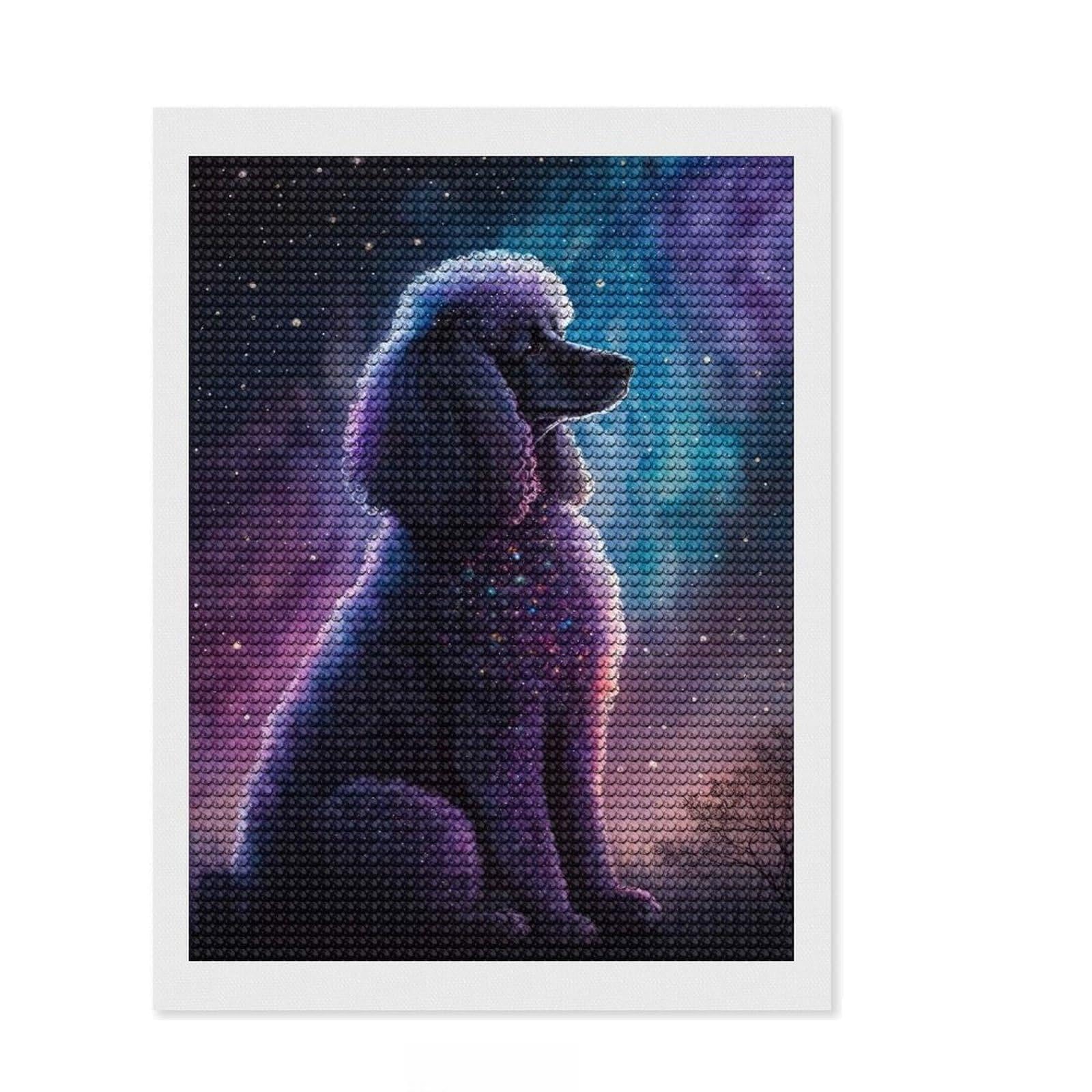 Junmoney Poodle Style 2 Diamond Painting Kit 12"x16", Easy to Follow Symbols, Stress Relief Craft, Farmhouse Decor, Birthday Gift
