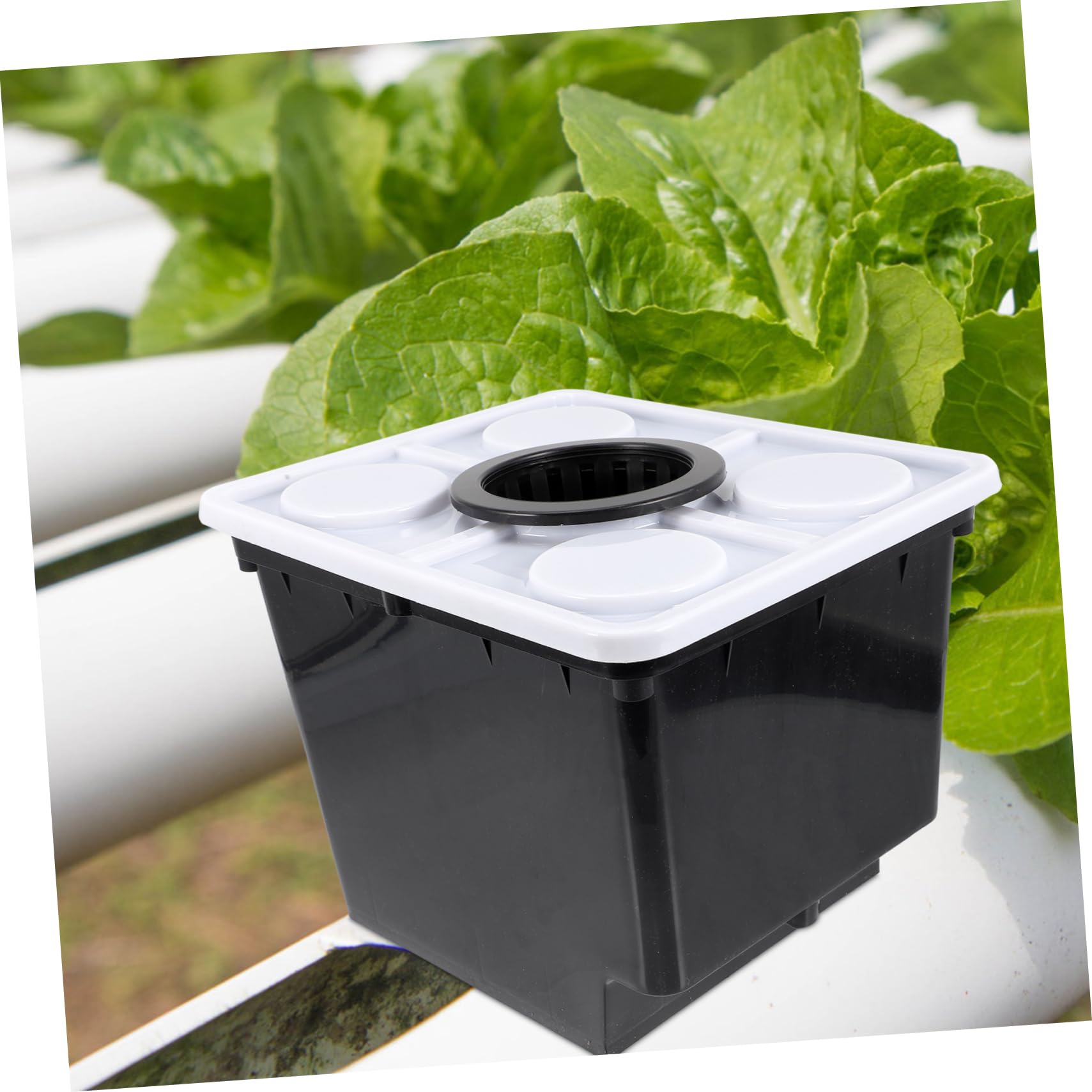 Secchio Idroponico senza Terriccio Nero in Plastica per Coltivazione | Sistema Pratico per Piante Verdi e Fiori, Uso in Vivaio e Hotel, Vaso per Crescita in Serra