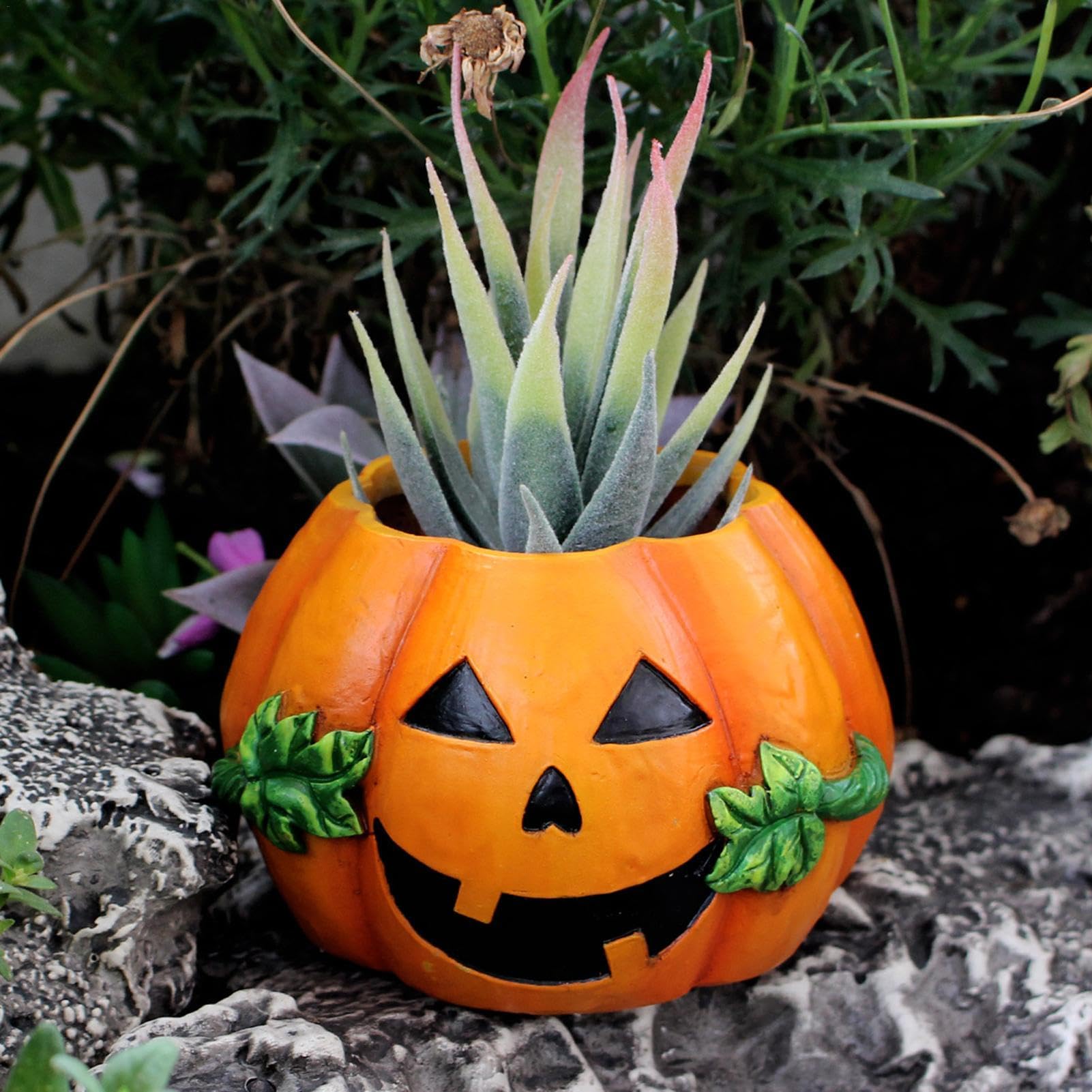 Amazon.co.jp: カボチャの植木鉢 - ハロウィン パンプキン プランター