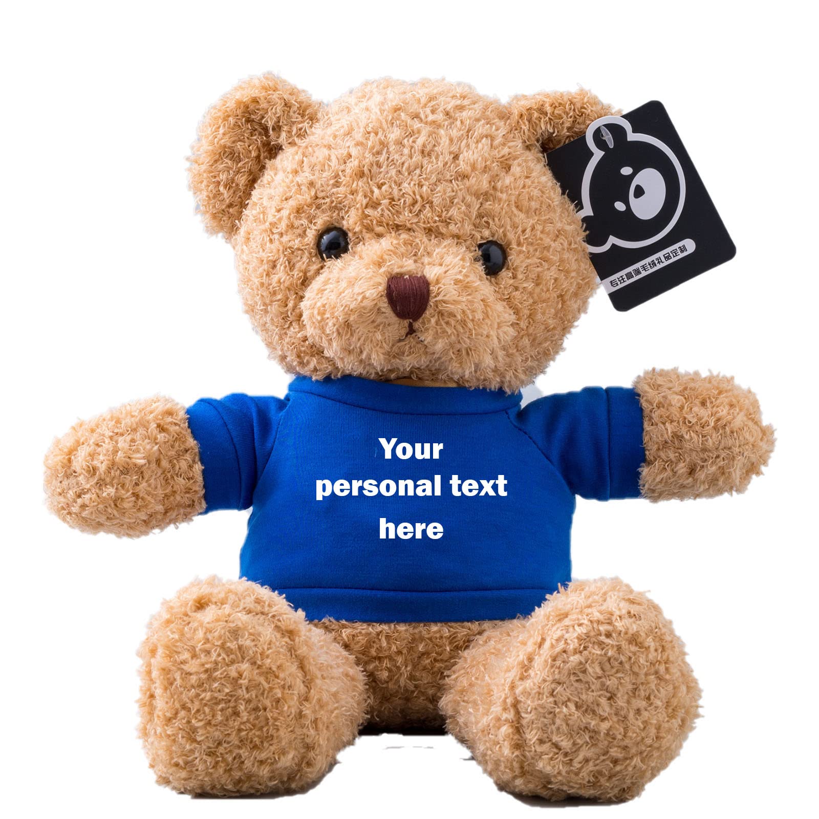 ADORSUN Personalised Teddy Bear Stuffed Animal with Customised Text, Stuffed Bear as Personalised Gift for Women/Men on Valentines' Day/Birthday/Anniversary 12inch-T Shirt-Blue — image 1