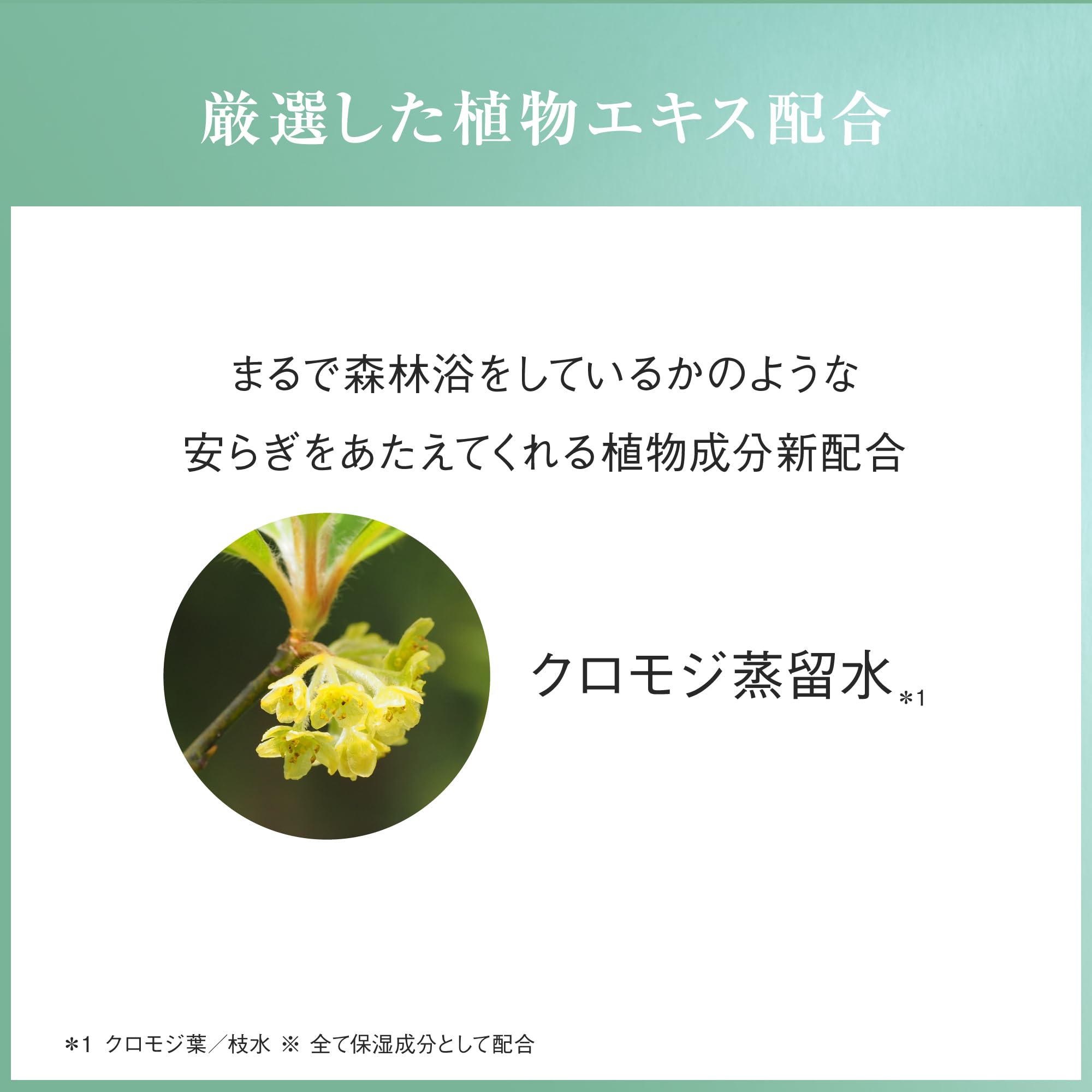Amazon | アユーラ(AYURA) 【癒しのギフト】 入浴料(各300mL × 2種
