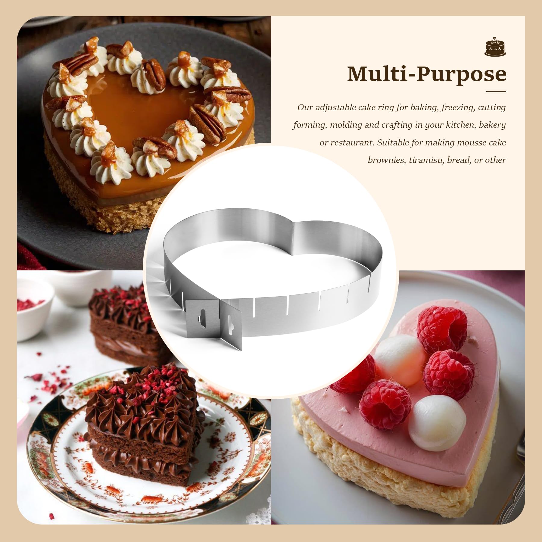 Lot De 12 Sangles élastiques Bungee Robustes 10 Pouces - Pour Bâche, Attache, Rangement Multicolores