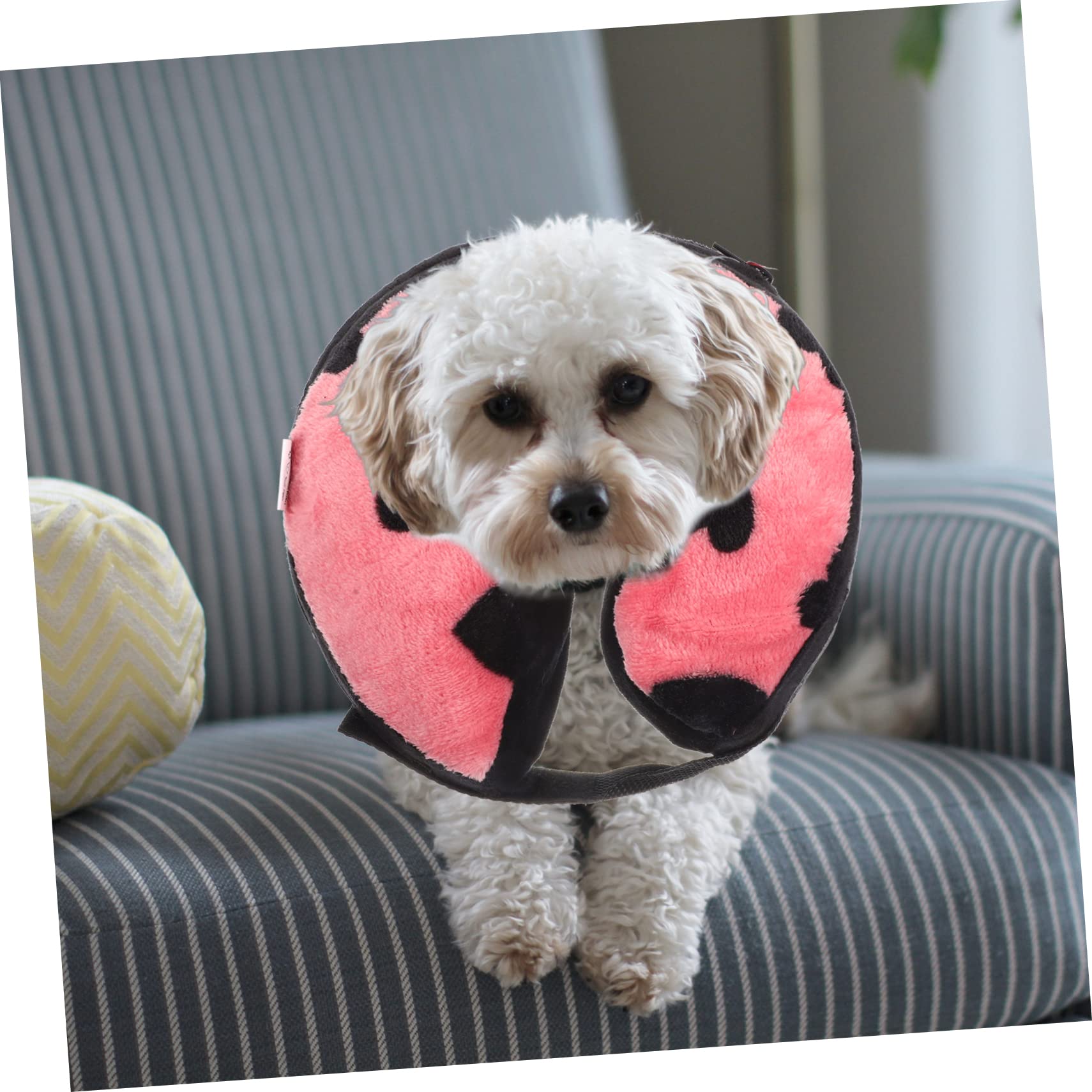SUPVOX 4piezas Collar Inflable Protector para Gatos Collar De Recuperación Ligero y Cómodo para Mascotas Previene Lameduras y Arañazos Heridas para Recuperación Postquirúrgica