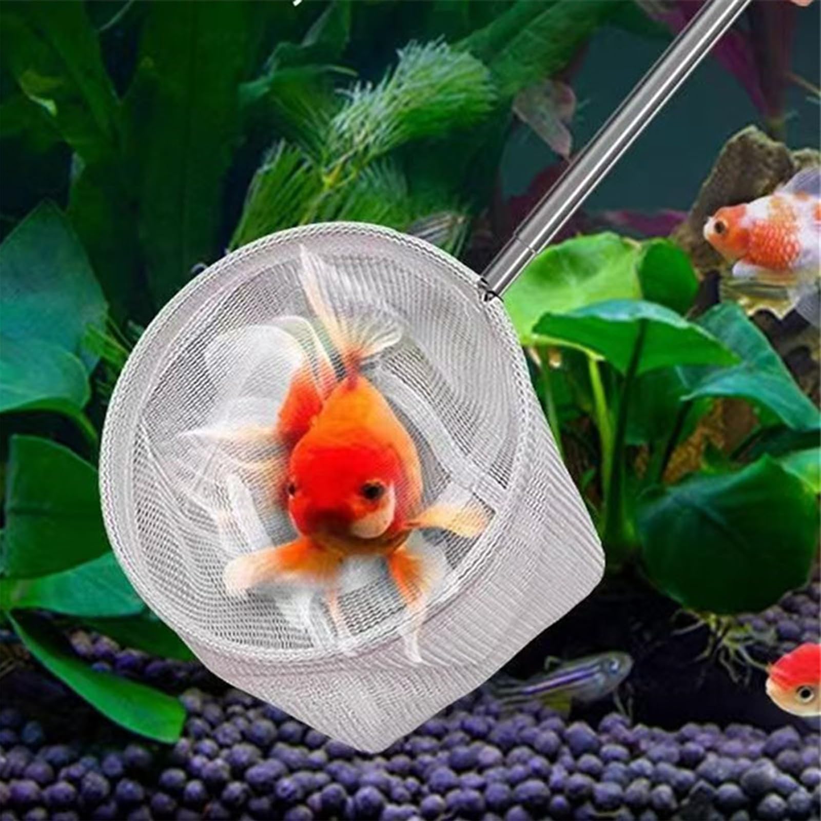 Épuisette Aquarium Télescopique Carrée en Nylon avec Manche en Acier Inoxydable Filet Fin pour Poissons Crevettes et Débris