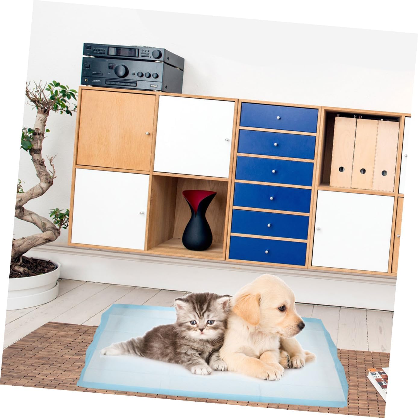 Yardwe 20Pcs Professional Dog Pee Pads Disposable Pet Training Mats with Leak Design Comfortable Absorbent for Indoor Outdoor Use