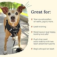 Vista 4 de Lucy & Co. Arnés para perro Midnight No-Pull – Talla M – Chaleco para dejar de tirar y caminar fácil – Cómodo producto de entrenamiento de correa