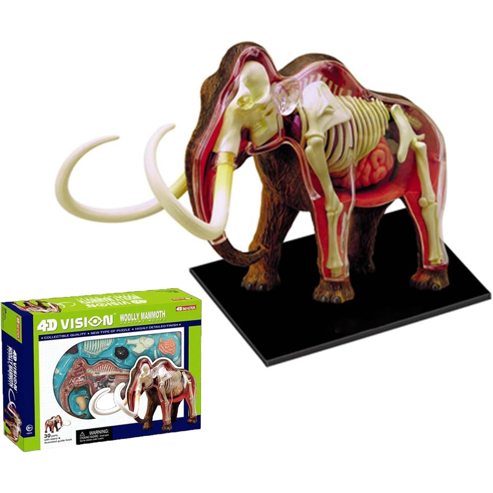 Modelo anatómico de mamut 4D, kit de 30 piezas extraíbles con órganos y partes del cuerpo, for clínica veterinaria, formación veterinaria, demostración docente escolar.