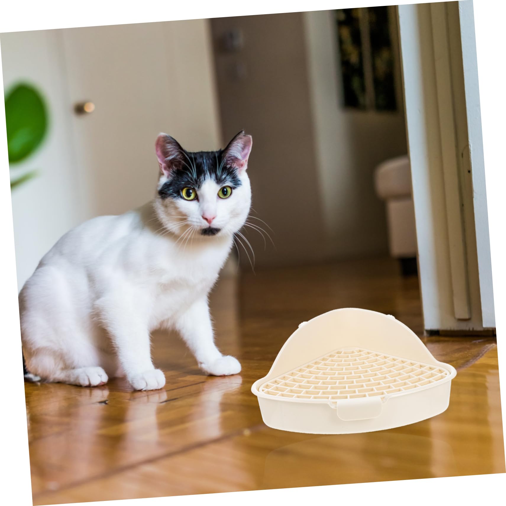 INOOMP Scatola da 3 Pezzi Toilette per Conigli Lettiera Coniglio Vaschetta per Coniglietti Animale Domestico Piccola lettiera per Animali Domestici Gabbia per Conigli Gabbia criceti pp
