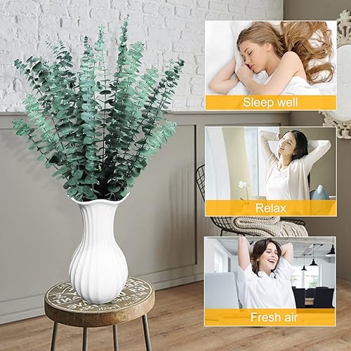 Miniatura 3 de Paquete de plantas de eucalipto preservadas secas, 100% naturales, 14 tallos naturales, 17 pulgadas de eucalipto fresco para ducha, aromaterapia,