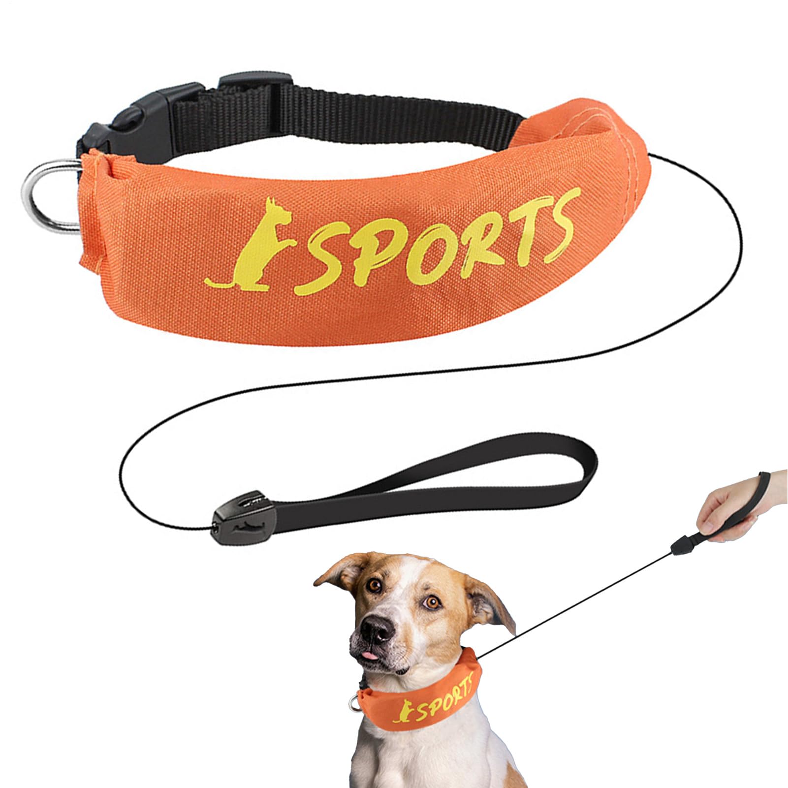 Harnais à résistance à l'évasion réglable avec collier de laisse de chien