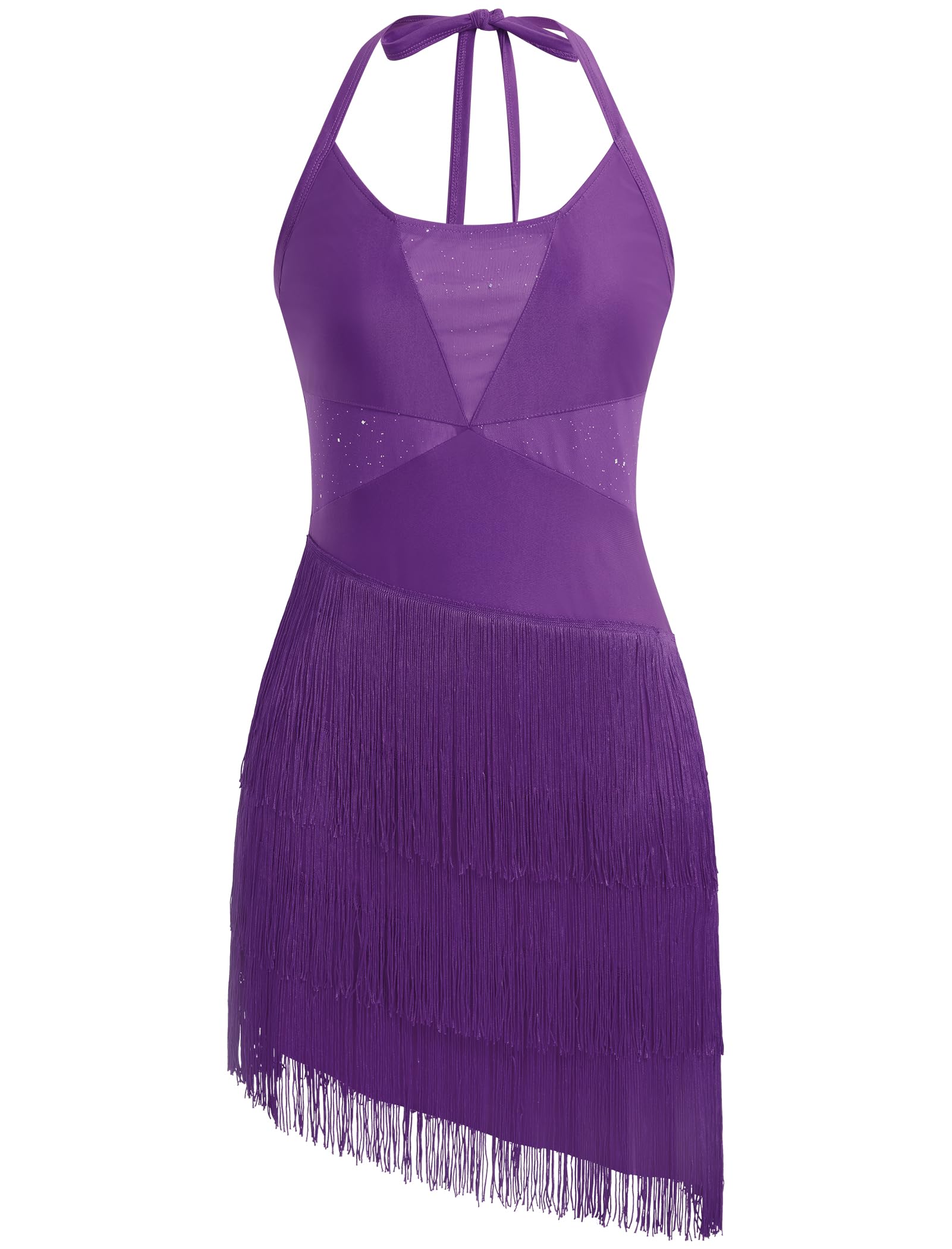 Glitzerndes Quasten-Latein-Tanzkleid für Damen, Neckholder, asymmetrisch, Fransen, Flapper-Kleid, Netzstoff, Salsa, Tango, Ballsaal, Tanzkostüm