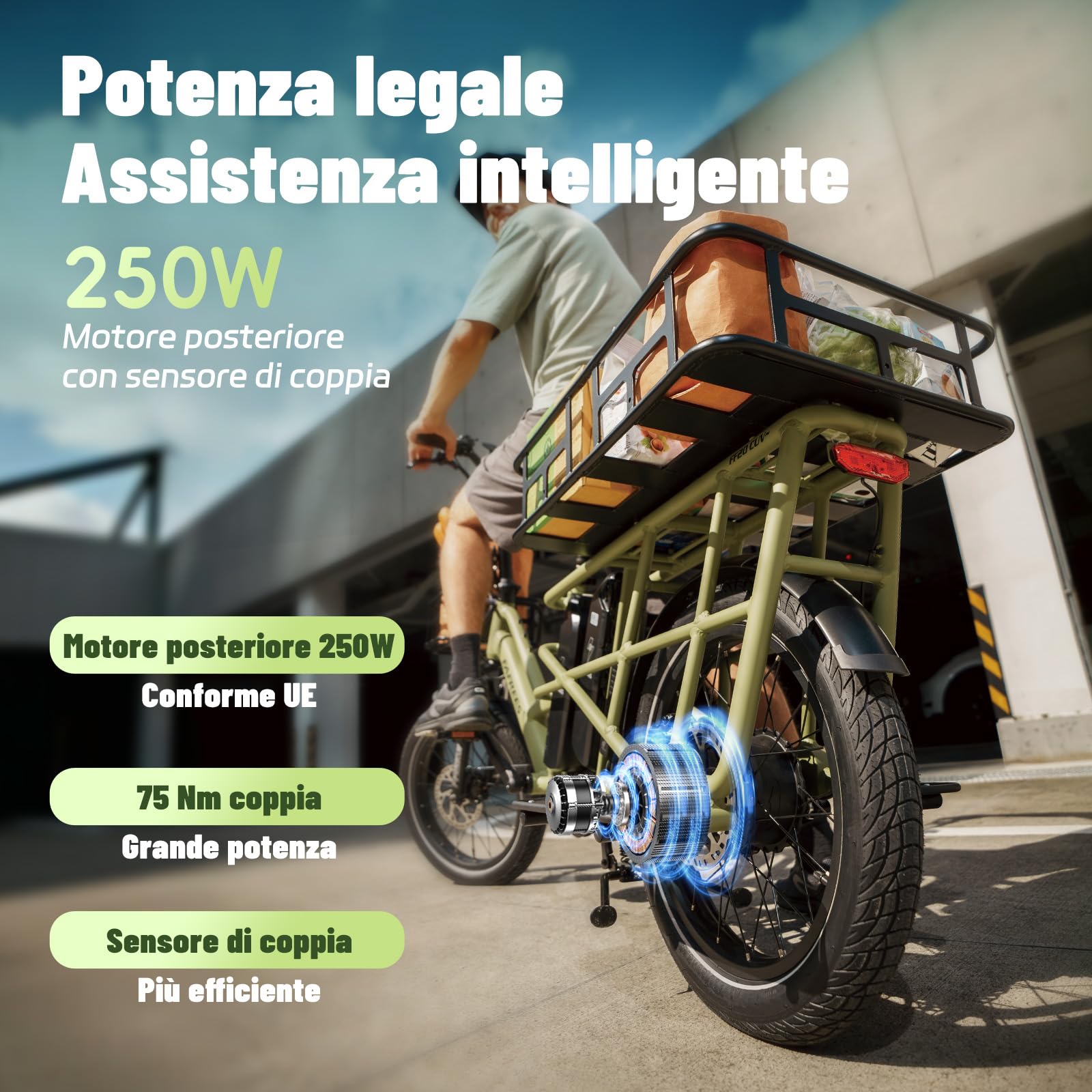 Fafrees FF20 CUV Bici Elettrica Pieghevole Pedalata Assistita, Ebike Uomo Donna Doppia Batteria (48V 24AH) Lunga Autonomia, Bicicletta Elettrica da Città