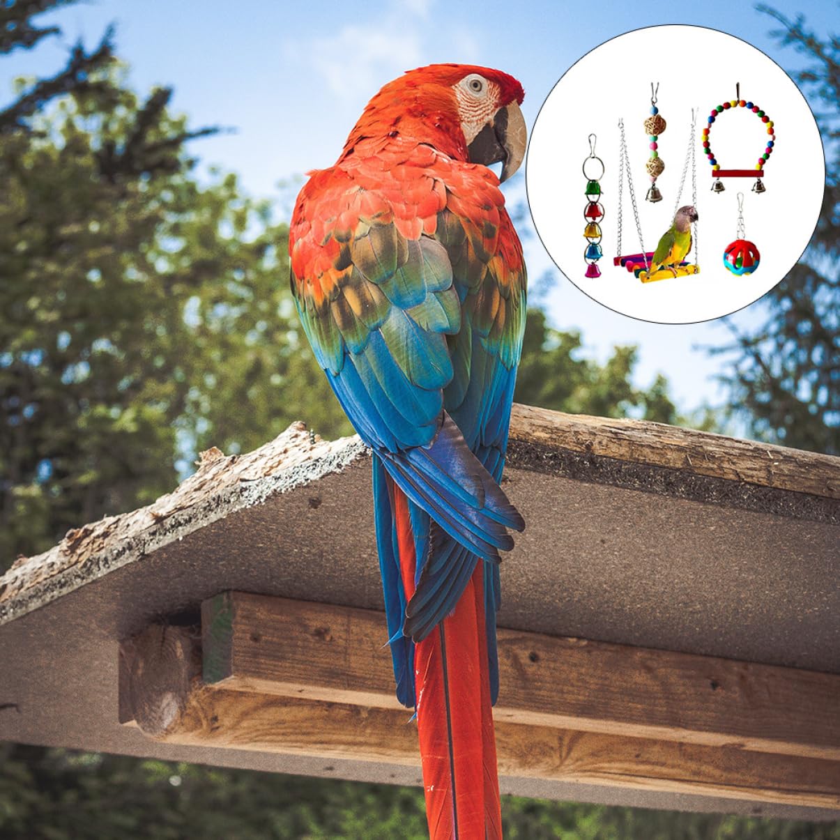 Happyyami 5pièces Jouets à Mordre pour Oiseaux Accessoires Amusants pour Perroquets Jouets à Mastiquer pour Oiseaux Fournitures pour Animaux De Compagnie