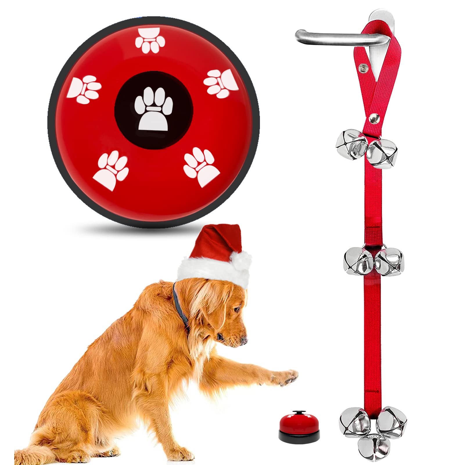 How Do You House Train An Outside Dog