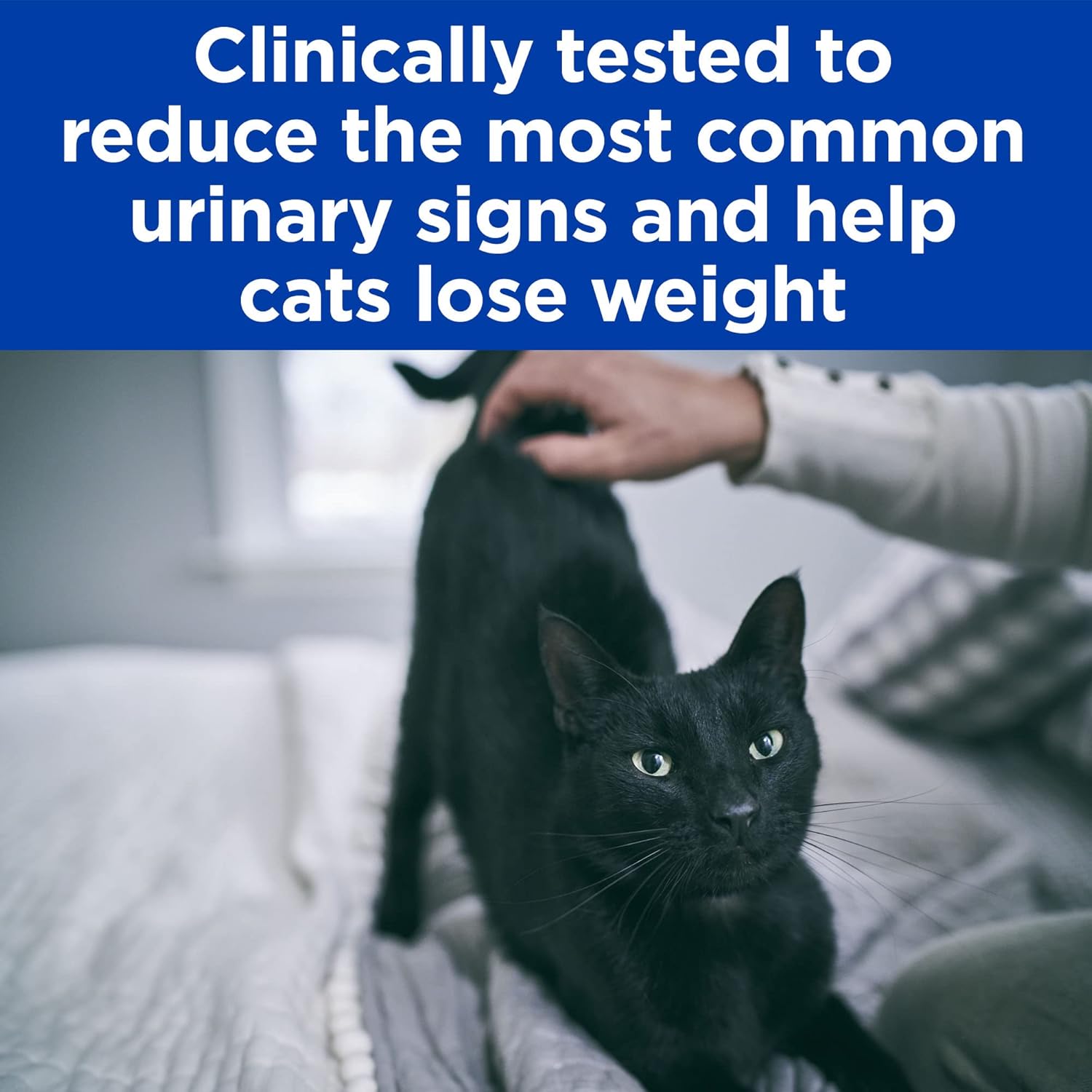 hills metabolic plus urinary