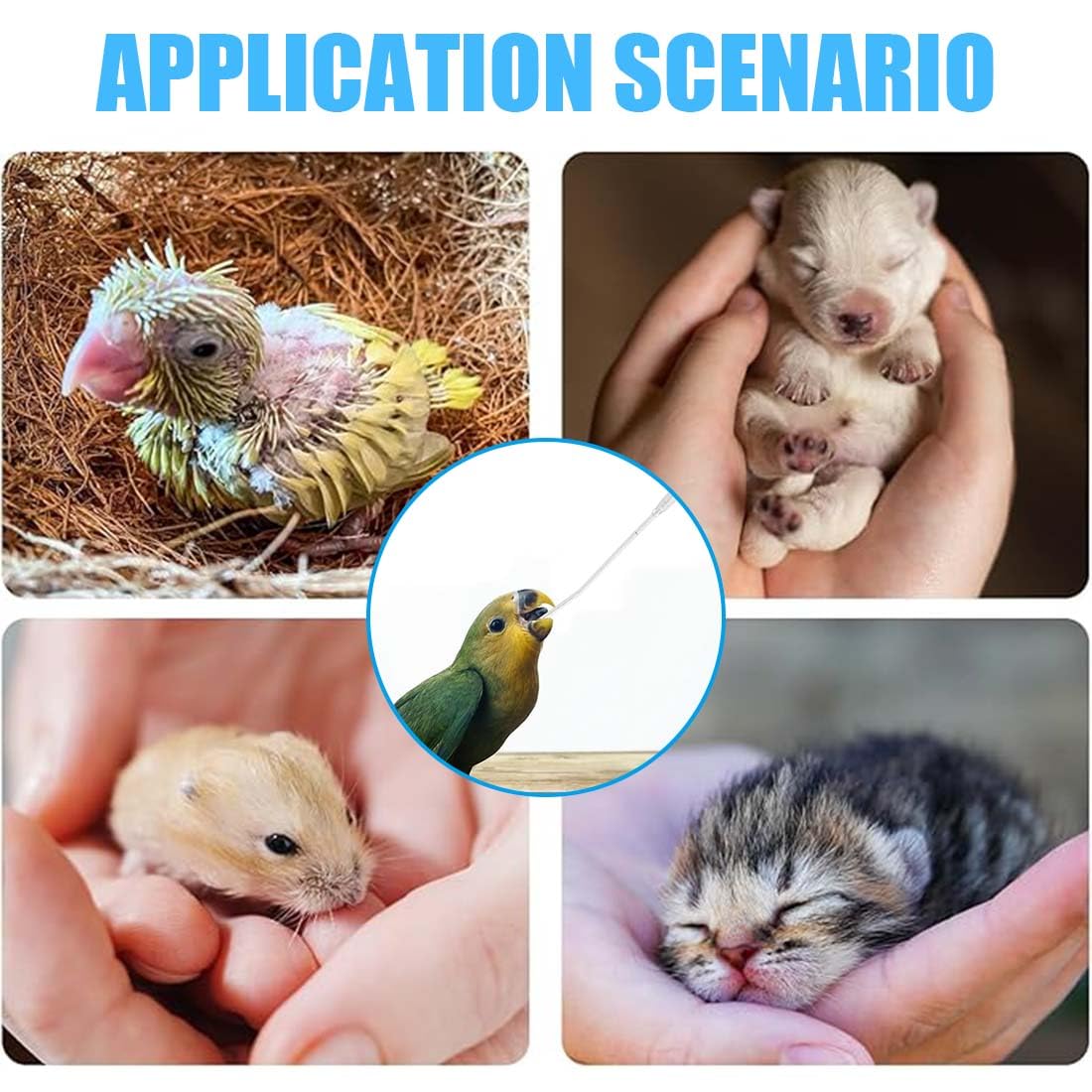 10 Pz Alimentatore Pappagalli Trasparente Uccelli Alimentazione Tubi Veloce Alimentazione Tubo Siringa per Bambino Pet Uccelli