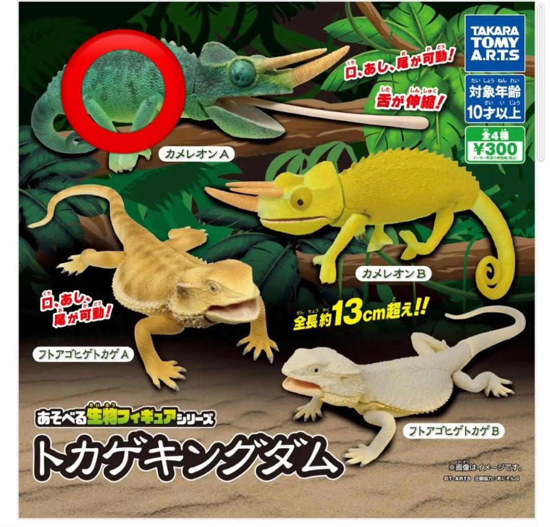 Amazon.co.jp: ガチャ トカゲキングダム カメレオンa 2点セット