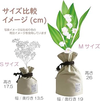 折り畳める 花瓶 超軽量 割れない 一輪挿し フラワーベース Amazon.co.jp: 折り畳める 花瓶 超軽量 割れない 一輪挿し フラワー