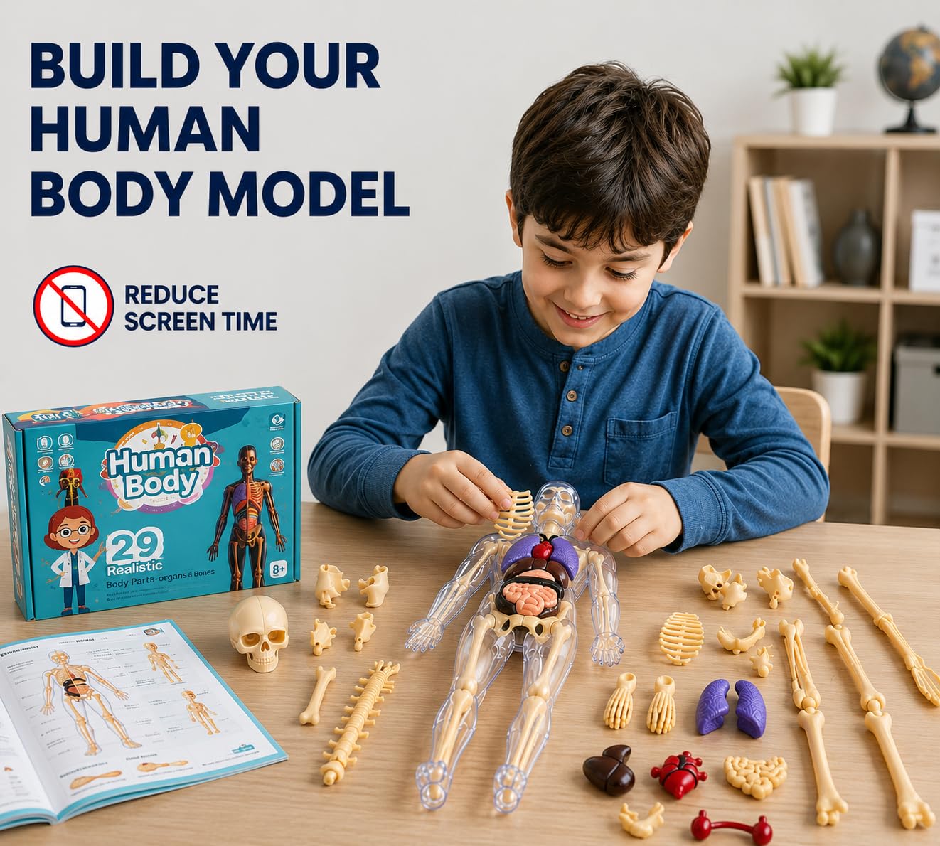 Braintastic Human Body 3D Model Kit for Kids | 29 Pieces Transparent Anatomy Kit with Dynamic Body Parts, Organs & Skeleton Bones | Educational STEM Science Toy for Kids 5-12 Years 1