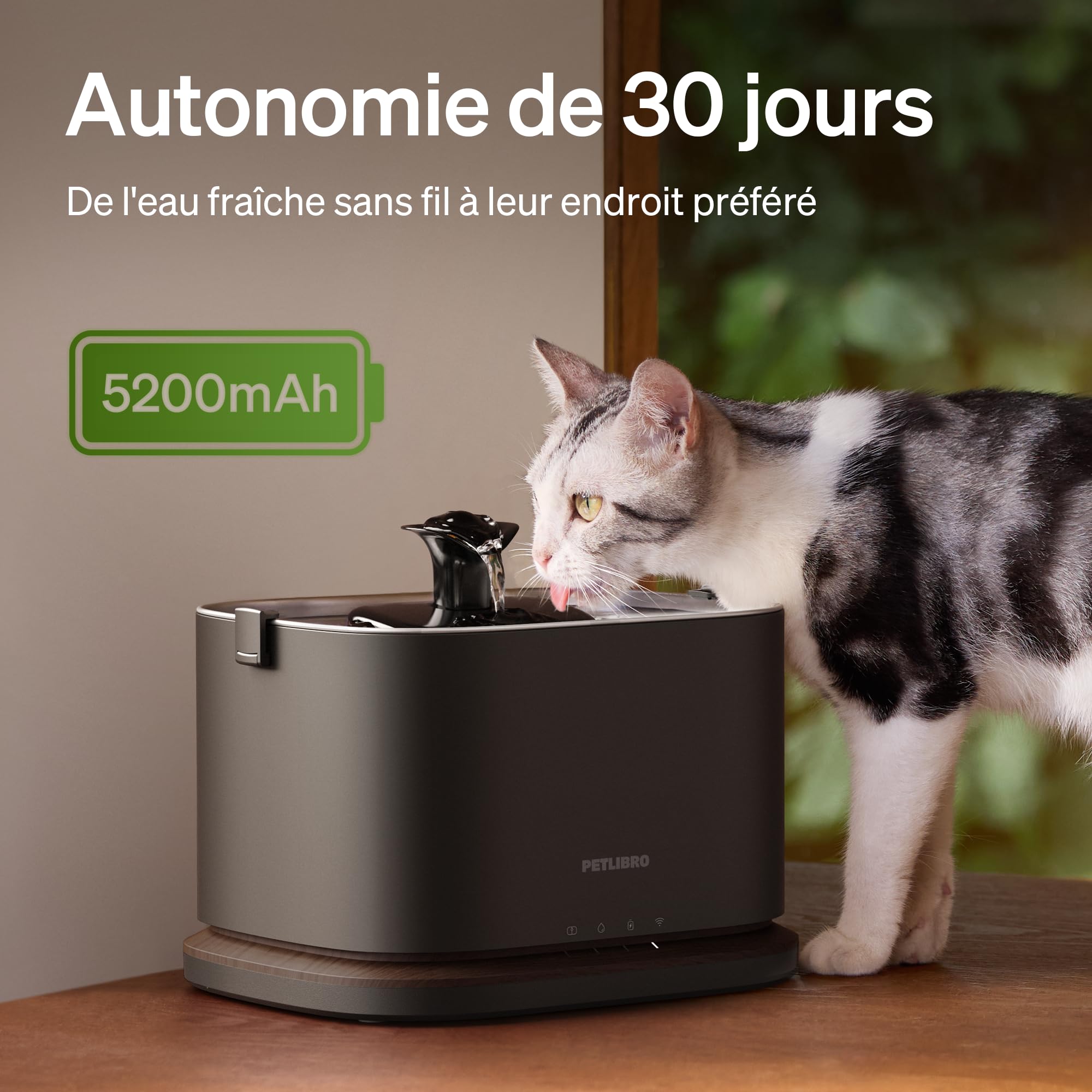 PETLIBRO Dockstream 2 Fontaine à Eau sans Fil pour Chats, 3L/101oz, avec Batterie et Plateau en INOX, Distributeur d'eau WiFi 5GHz, idéal pour Chats et Chiens - Distributeur Eau Chat Automatique