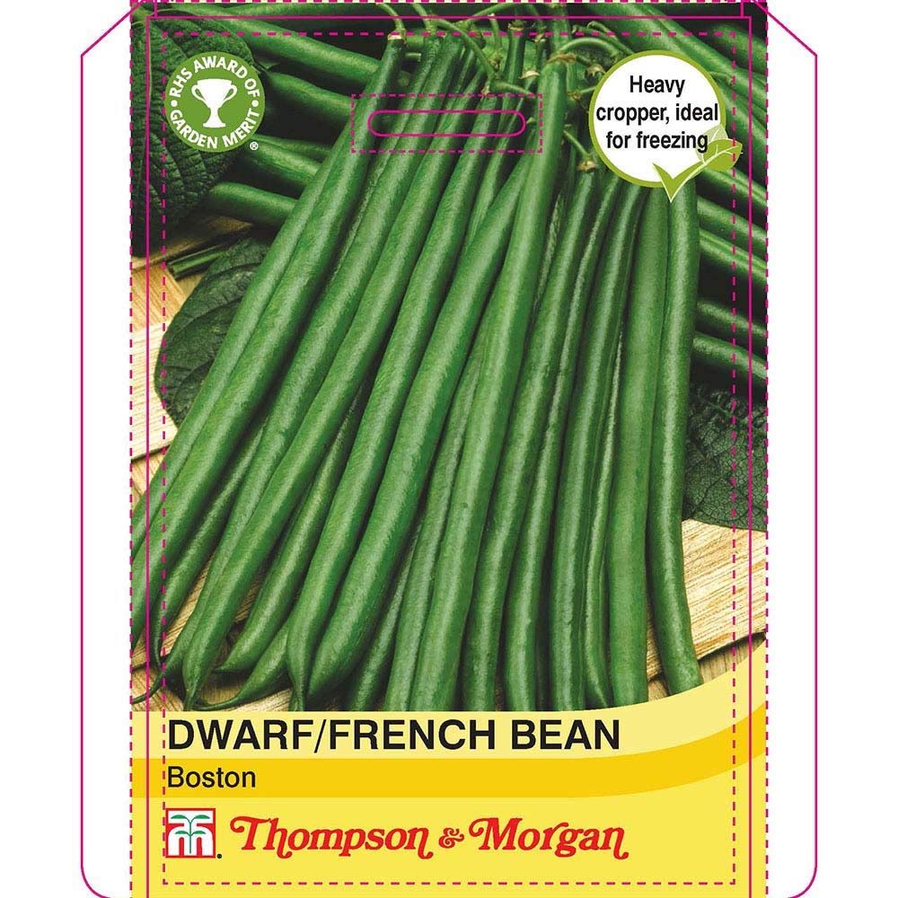 Thompson & Morgan - Vegetables - Dwarf Bean Boston - 100 Seed