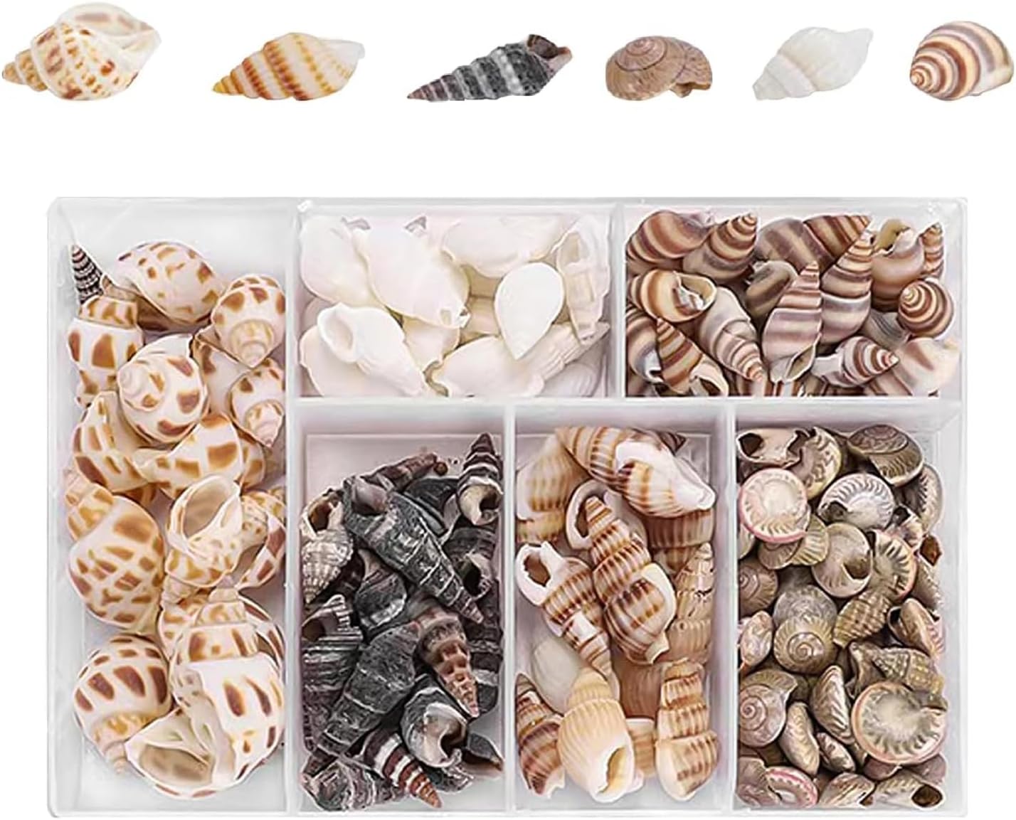 100 Pcs Seashell Mix for Crafts & Decor - Spiral Shells, Starfish, Sea Urchins for Nautical Decor, Beach Themed Parties & DIY Projects