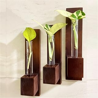 Bombay Greens ; Sow, grow, eat, repeat Wall Planter|Wooden Plant Holder for Living Room|Eco Friendly Planter for Home Décor|Test Tube Planter for Office|Double Sided Tape Included (Set of 3)-picture-28