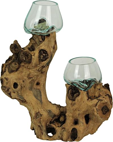 Decorative Vase, 13.5 Inch Tall Double Molten Glass Bowl on Root Wood | Hand-Formed Construction, Natural Finish, 11.5 Inch Long, 6 Inch Deep, For Succulents, Herbs, Stones or Dried Flowers
