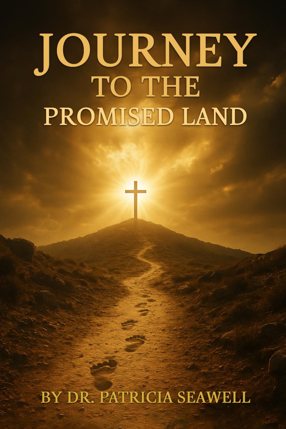 Journey To The Promised Land