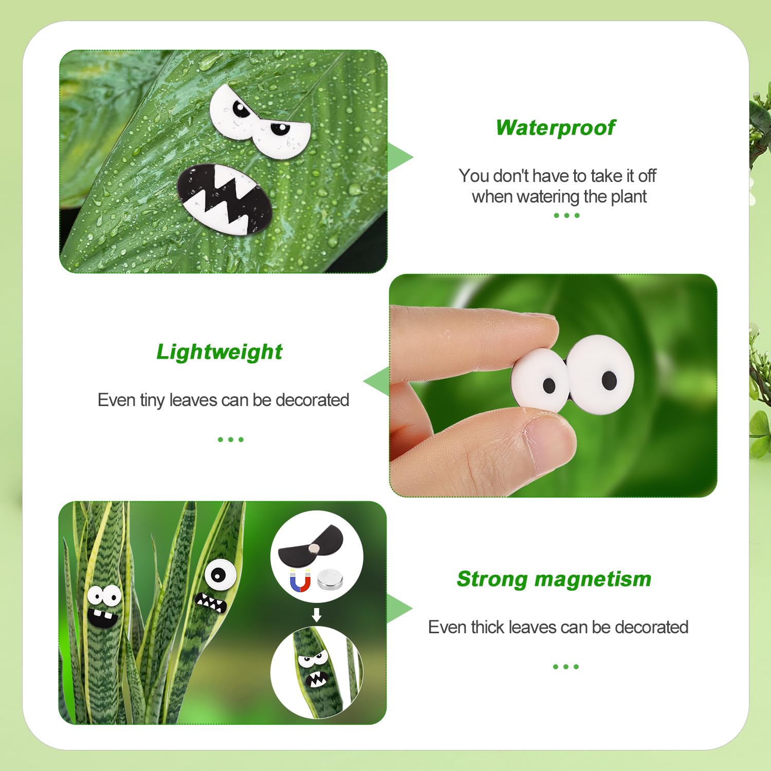 Occhi Magnetici Per Piante: I Tuoi Nuovi Amici Verdi Ti Guardano Con Simpatia! Regalo Divertente Per Gli Amanti Del Giardinaggio