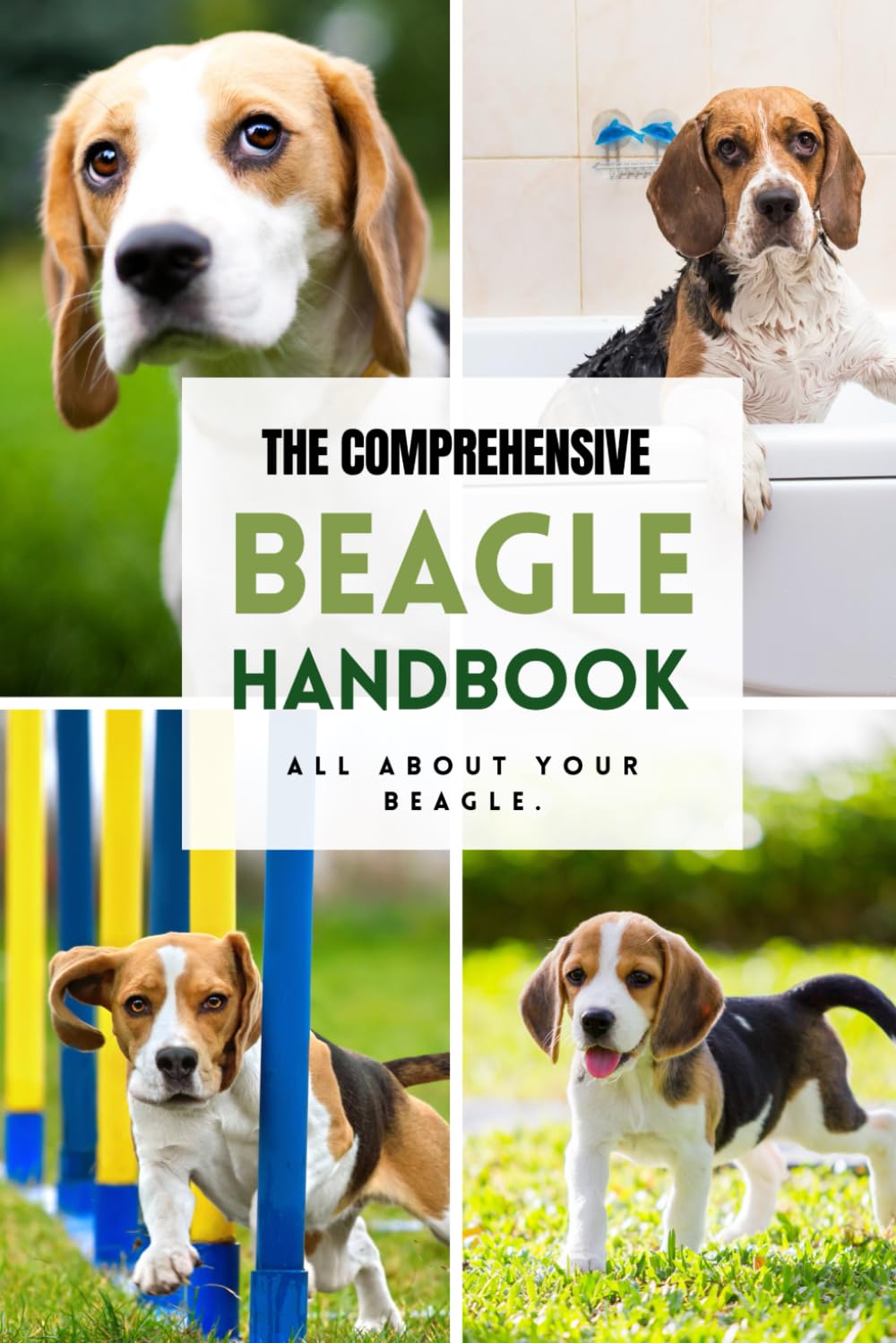 The Comprehensive Beagle Handbook: All about your Beagle