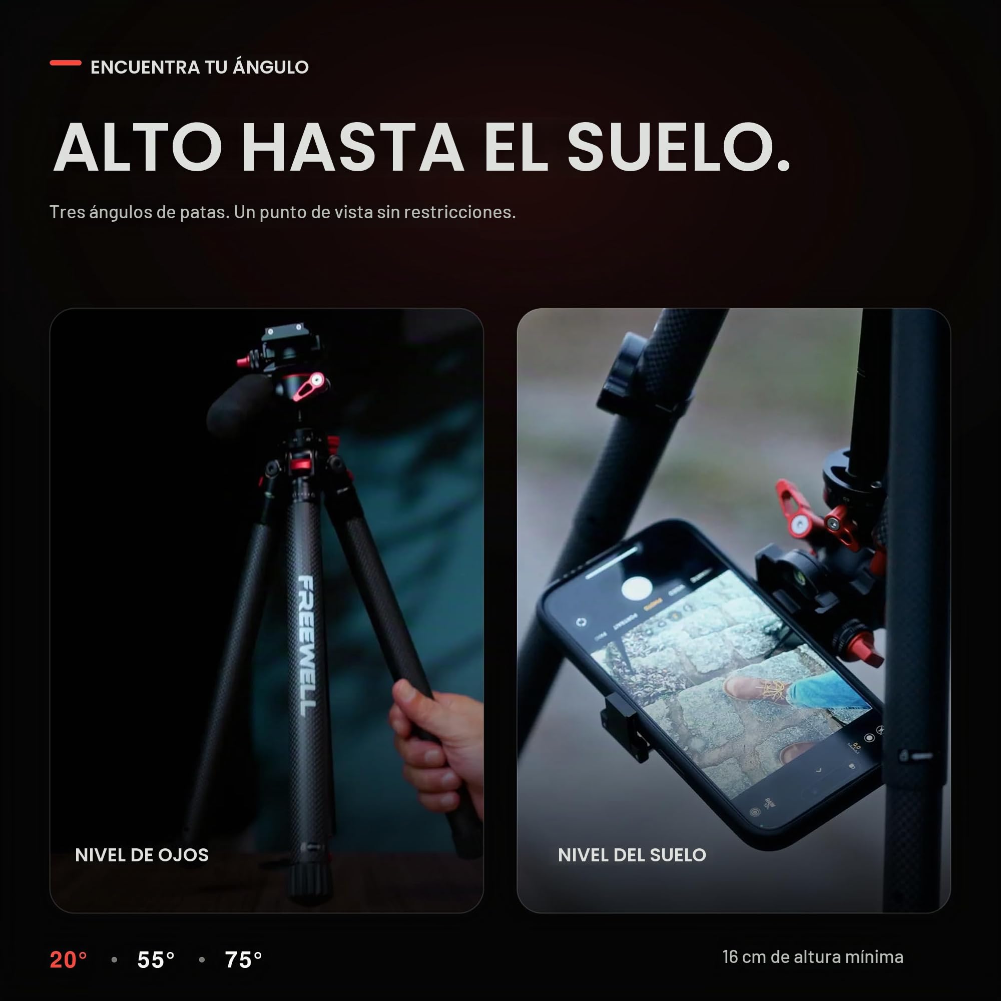 Freewell Trípode de Viaje de Fibra de Carbono de 59,1 Pulgadas | Ligero, con cabeza esférica de 360°, carga máxima de 5 kg, placa de liberación rápida, para cámaras DSLR y smartphones.