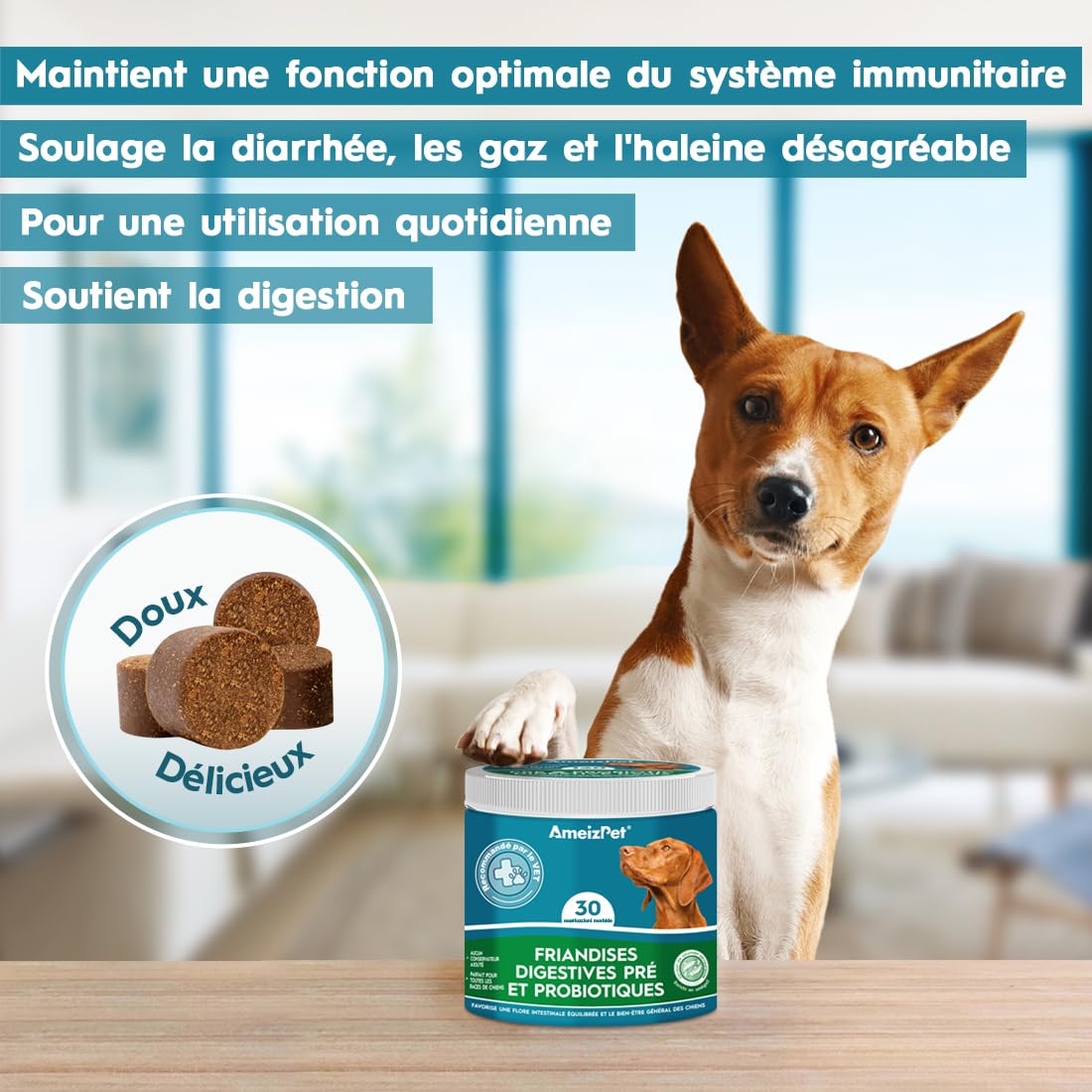 AmeizPet Dog Pré et Probiotiques pour La Santé Intestinale, Biscuits Probiotiques Naturels Chien - Friandises Digestives Probiotique pour La Santé Intestinale du Chien, 30 Friandises