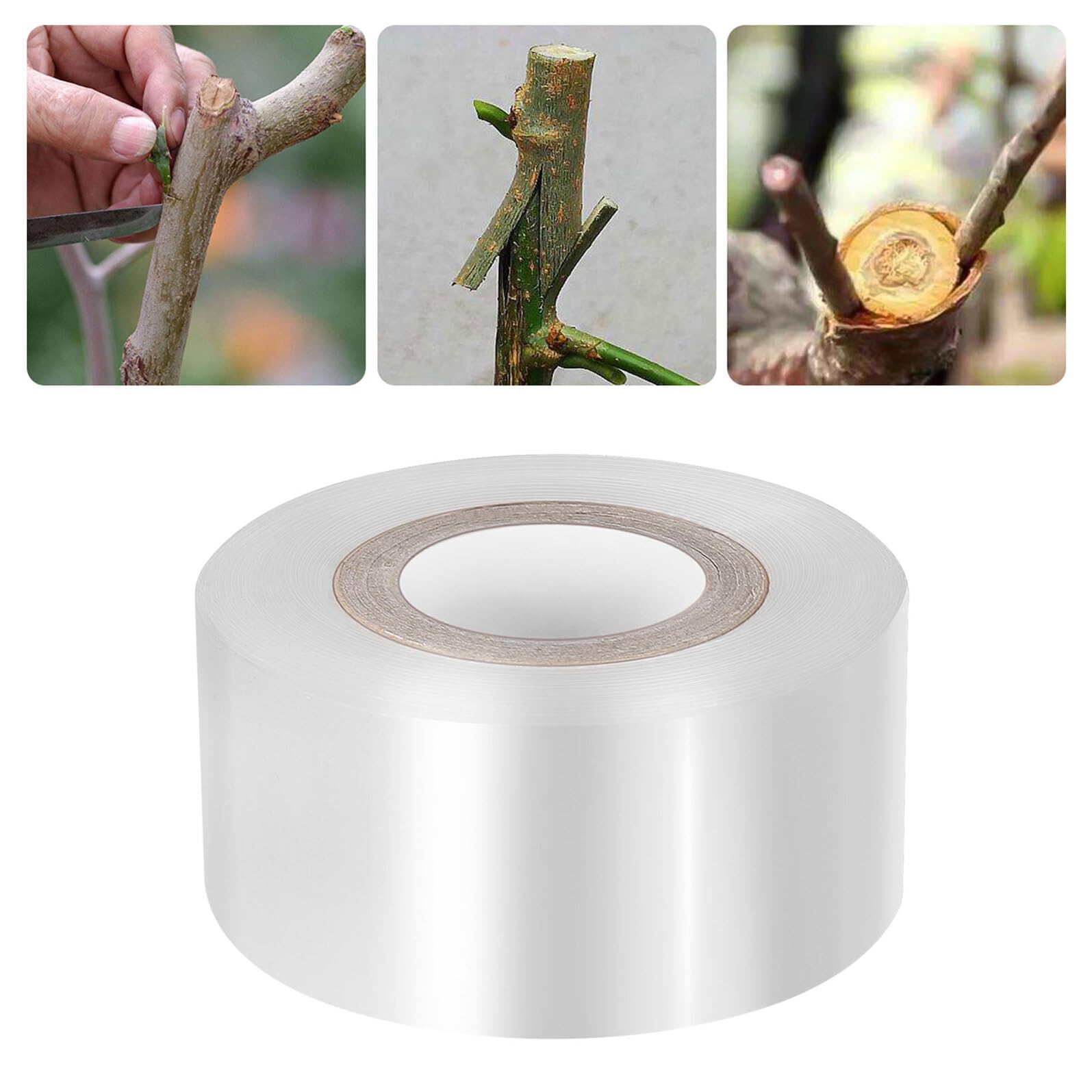 3 Rollen Selbstklebendes Dehnbares PE Pfropfband für Obstbäume und Pflanzen Farbiges Veredelungsband für Garten Baumschulengeeignet Verbessert Bewurzelung und Schützt Knospen bei