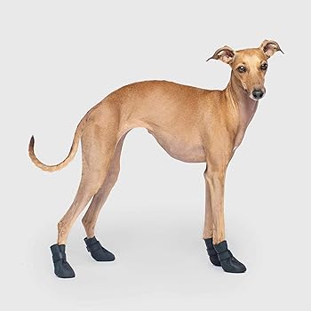wellies fleece lined dog boots