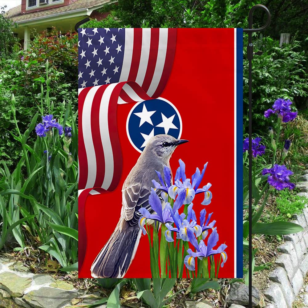 Amazon.com : American Flag-Tennessee State Mockingbird and