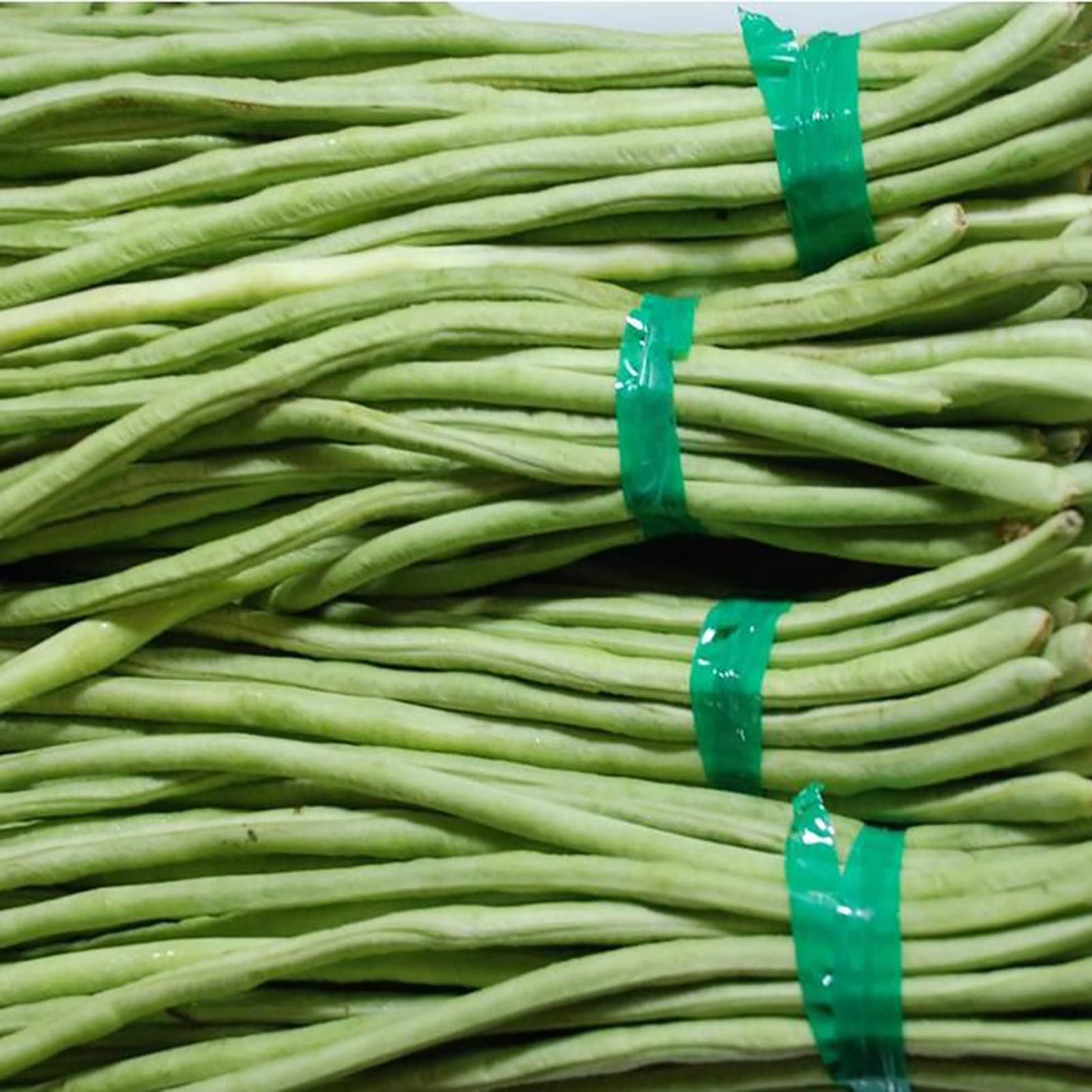 YBWL 100Pcs/Bag Carob Seeds Eco Friendly Whole Grain Mini Non-GMO Garden Seeds Long Beans Seeds