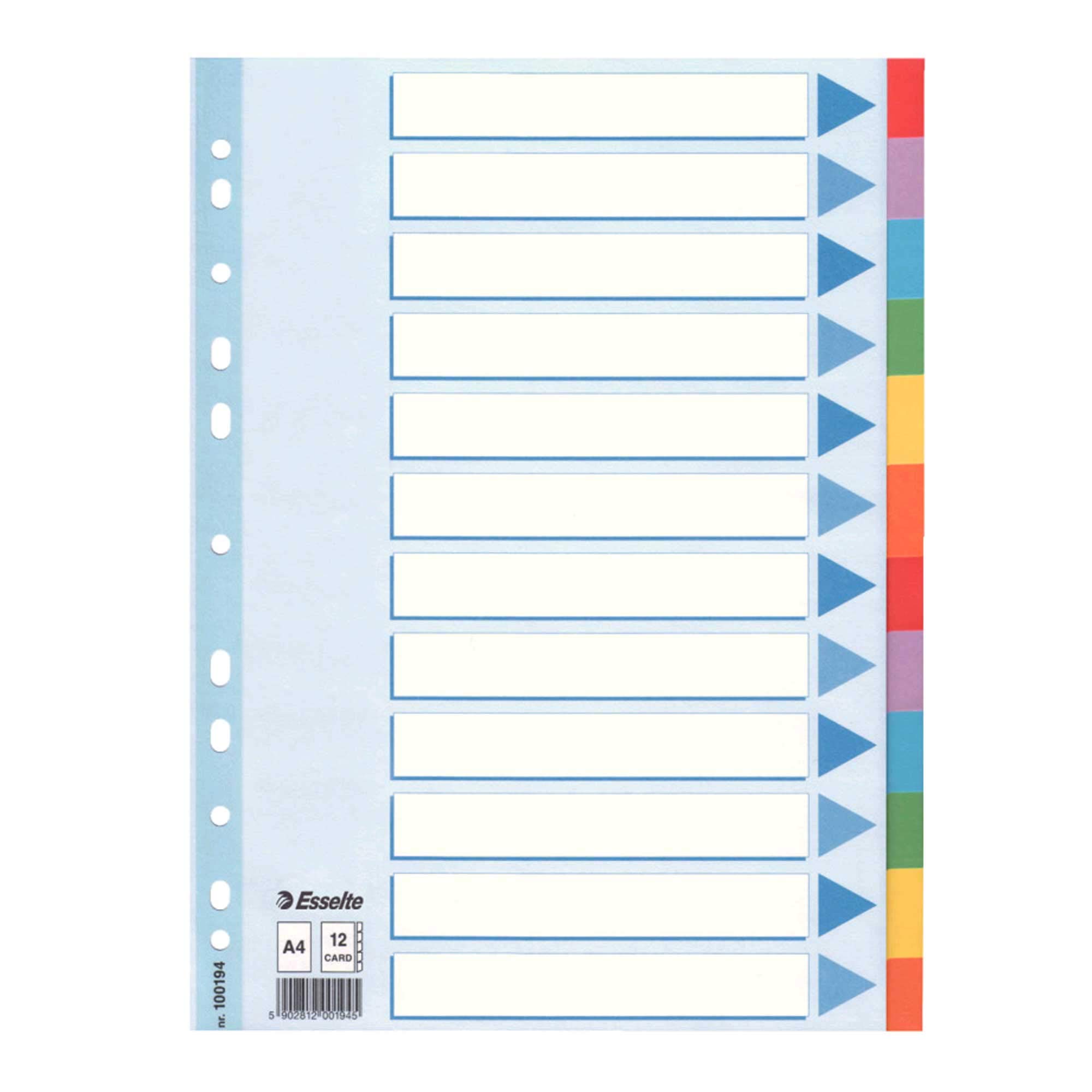 Leitz 100194 Kartonregister Standard Blanko, A4, 12 Blatt mit farbigen Taben, weiss (20er Pack, 12-teilig)