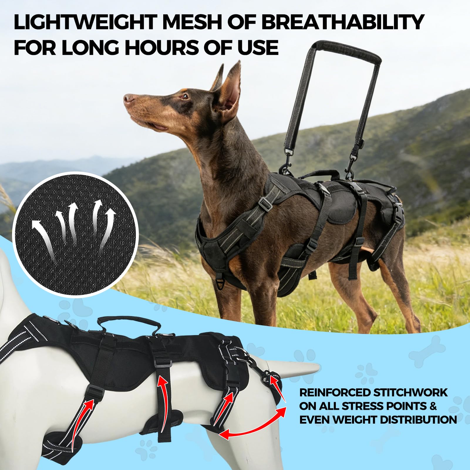BINGPET Arnés de elevación para perros, soporte de pierna trasera para perros grandes, arnés reflectante ajustable con asa, correa multifuncional para perros mayores lesionados
